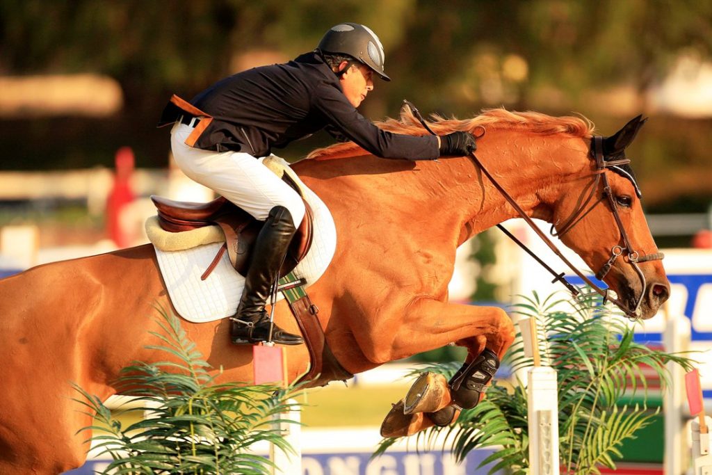 Campeonato Nacional de Salto de Obstaculos Montando